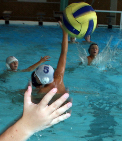 Vandpolo Tommerup